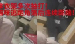 南京学生爆料事件视频最新,真相与争议交织的校园风云