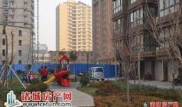 诸城爆料格林学府事件视频,揭秘校园安全与教育监管的争议